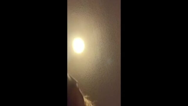 Denise Frazier – Hot f.ucking with dog EP2