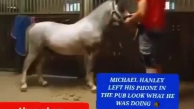 Michael Hanley Horse video Orange Shirt twitter!!! Hot trending today…