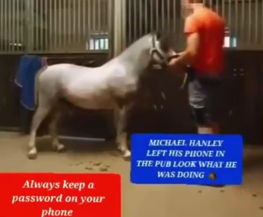 Michael Hanley Horse video Orange Shirt twitter!!! Hot trending today…